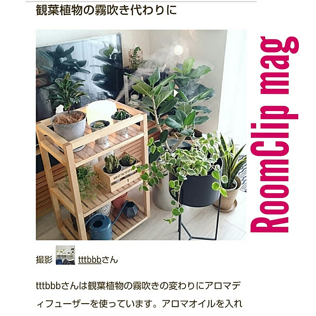 tttbbbさんの実例写真