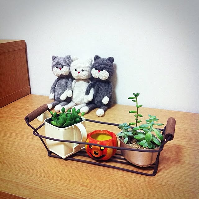 hamakoさんの実例写真