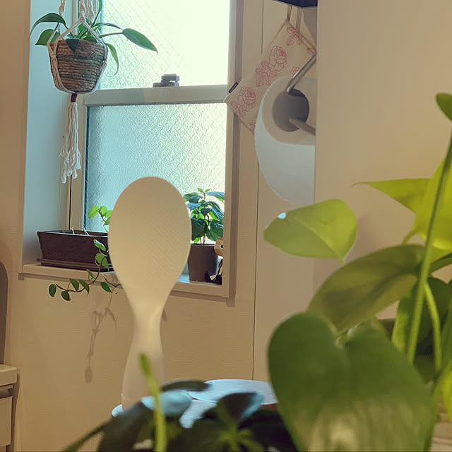 sakiさんの実例写真