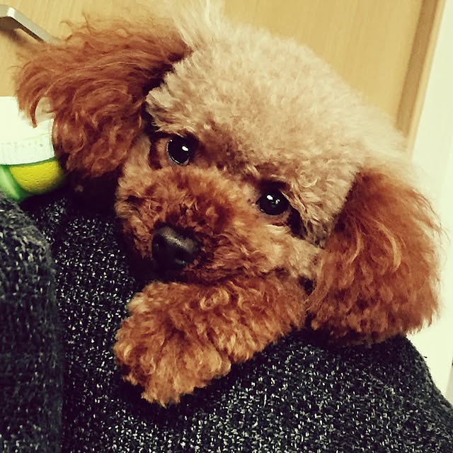 cocoさんの実例写真