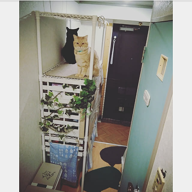 mntcさんの実例写真