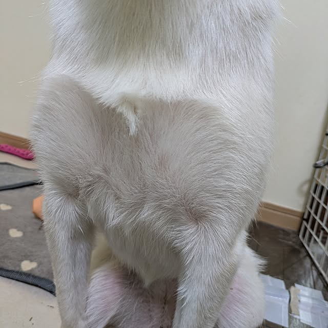 asaさんの部屋