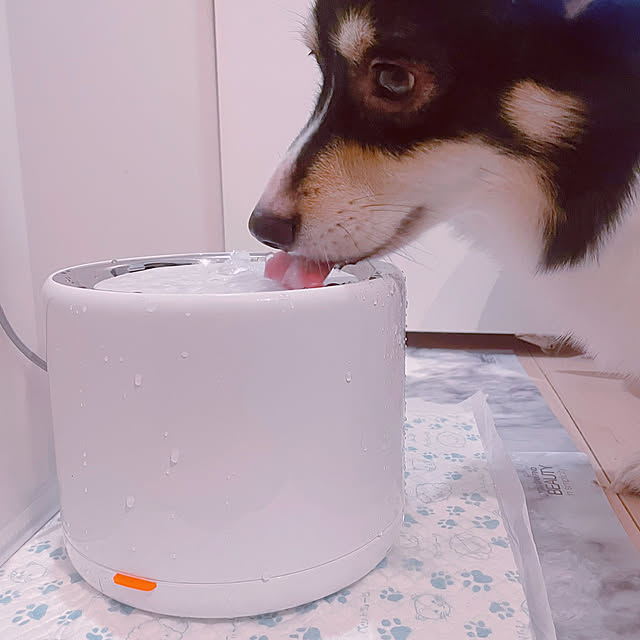 chocomamaさんの実例写真