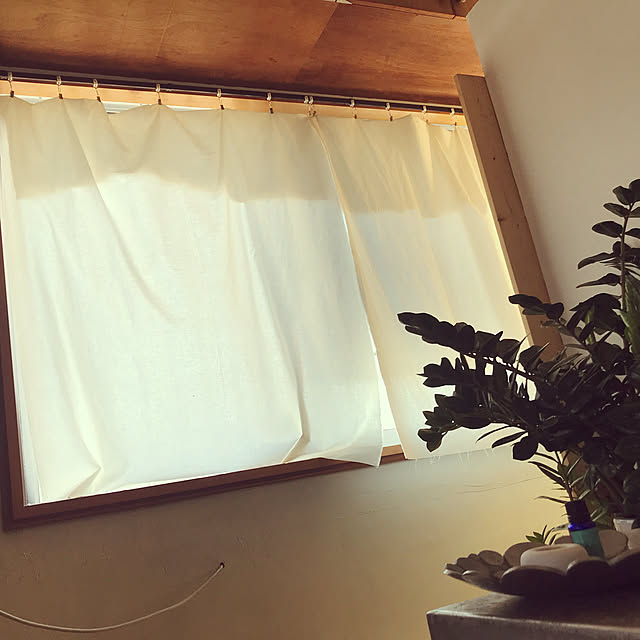 DIY/壁/天井のインテリア実例 - 2021-02-21 15:33:47
