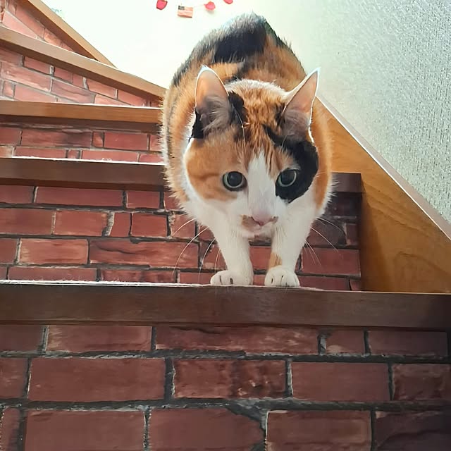 nanaさんの実例写真