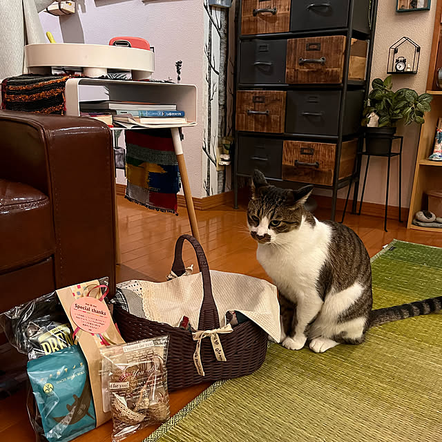 jijiさんの実例写真