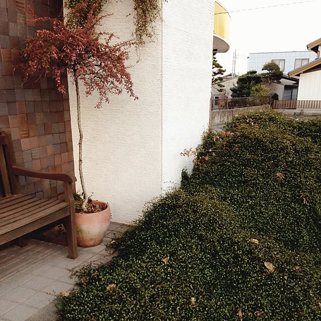 c_hoさんの実例写真