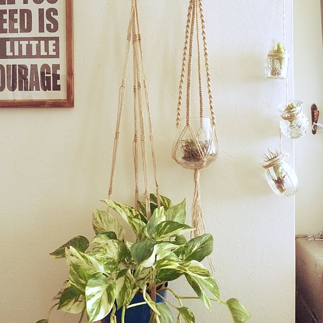 muuさんの実例写真