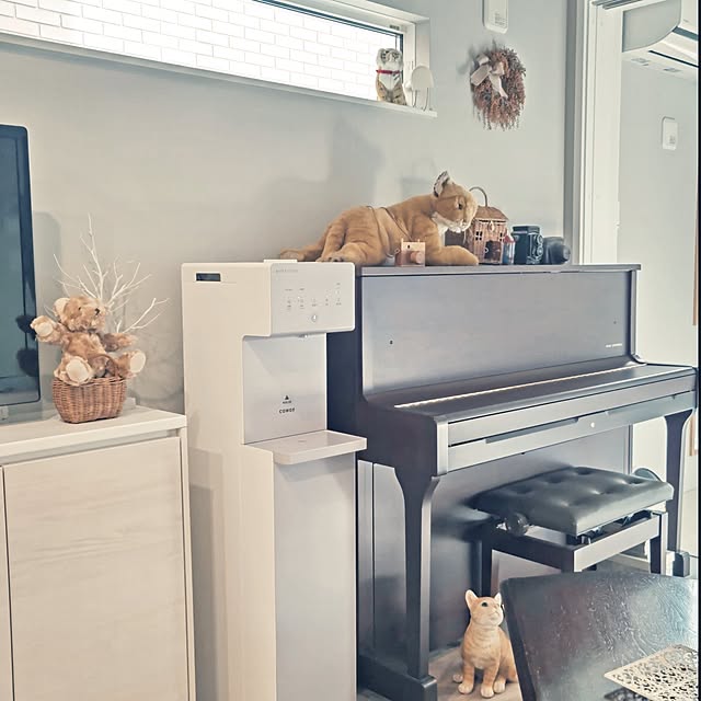 nyanpeiさんの実例写真