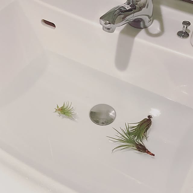 natsu._.logさんの実例写真
