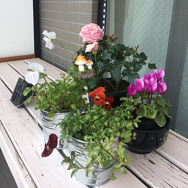 kanaさんの実例写真
