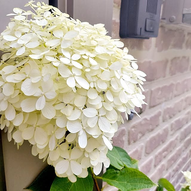 makkyさんの実例写真