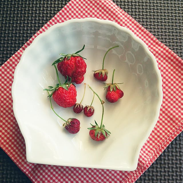 tomatoさんの実例写真