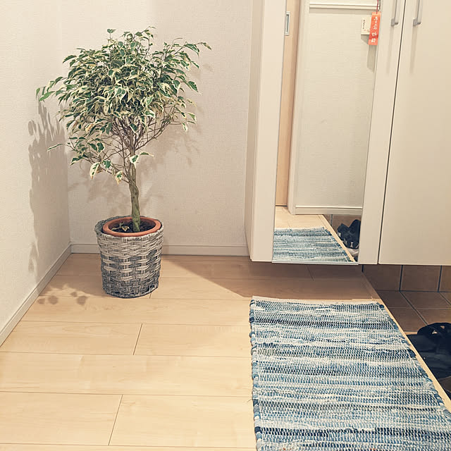 玄関/入り口/観葉植物/1LDK/靴箱/観葉植物のある暮らし...などのインテリア実例 - 2020-04-20 20:32:35