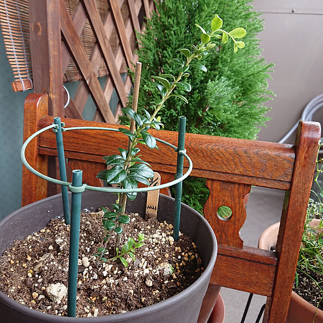 hopkeiさんの実例写真