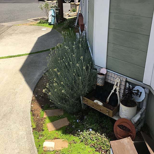31さんの実例写真