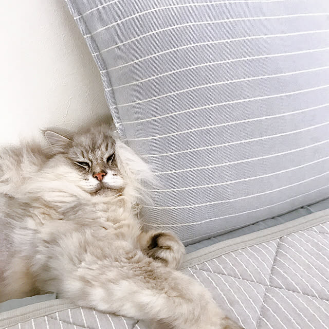 moon.mさんの実例写真