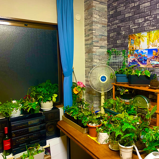 tututu0204さんの実例写真