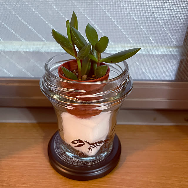 yasukoさんの実例写真
