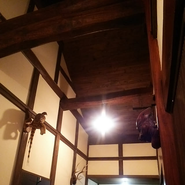 実例写真