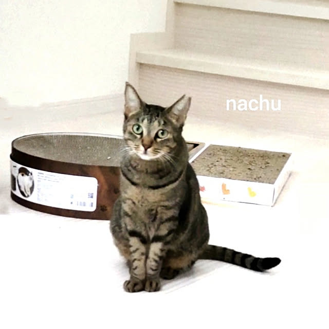 nachuさんの実例写真