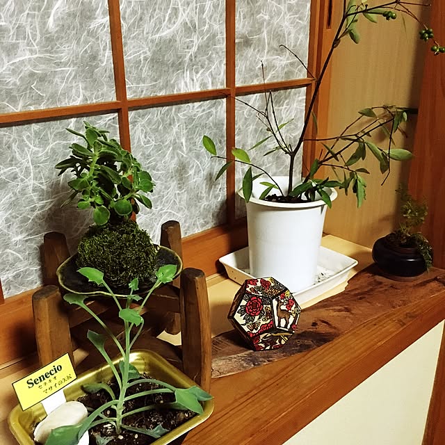 yuさんの実例写真