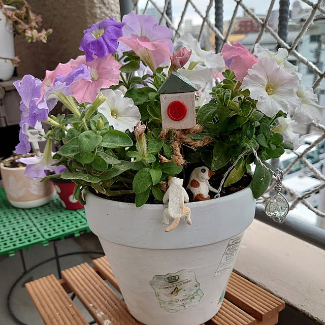 toramamaさんの実例写真
