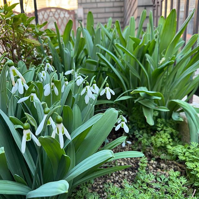 mamizaさんの部屋