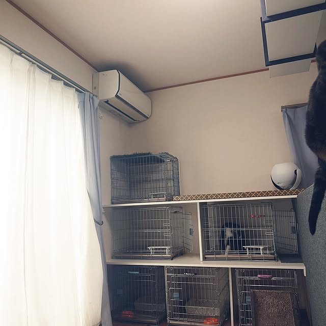 noguriさんの実例写真