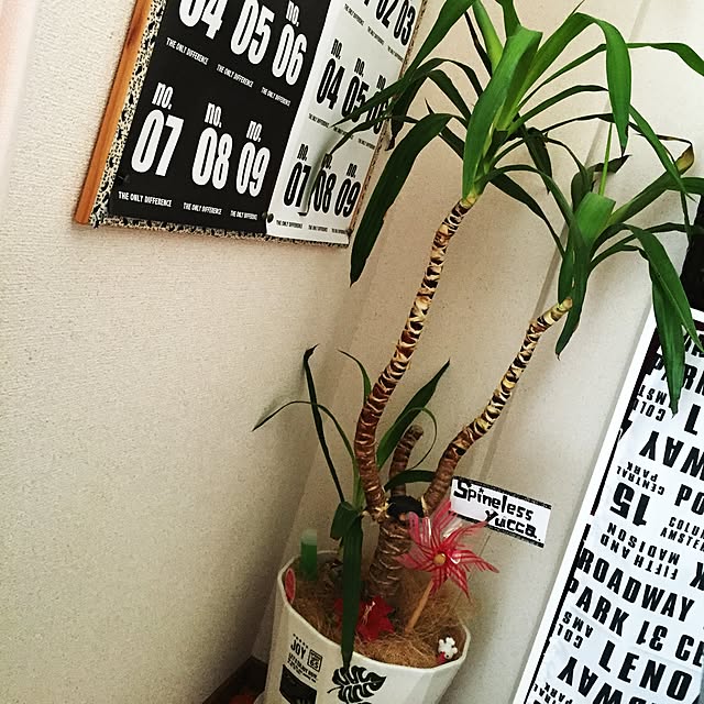niko44nさんの実例写真