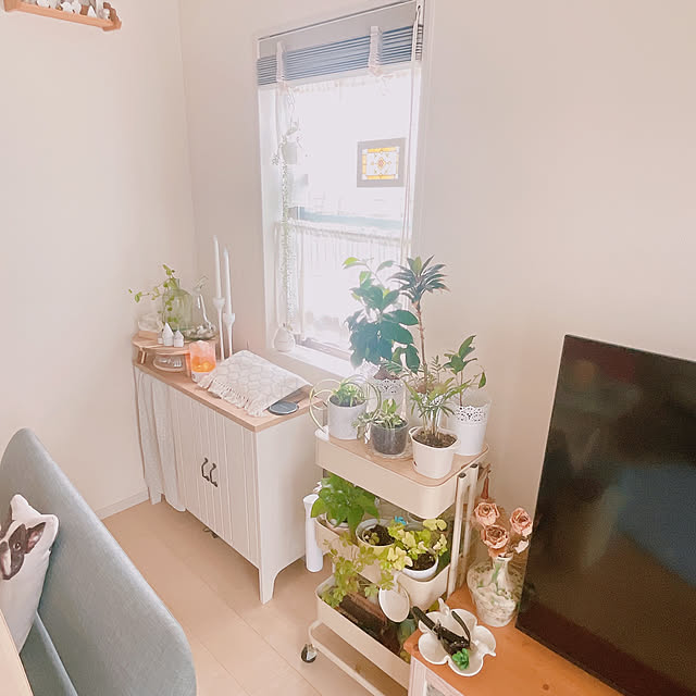 akiko-ovさんの部屋