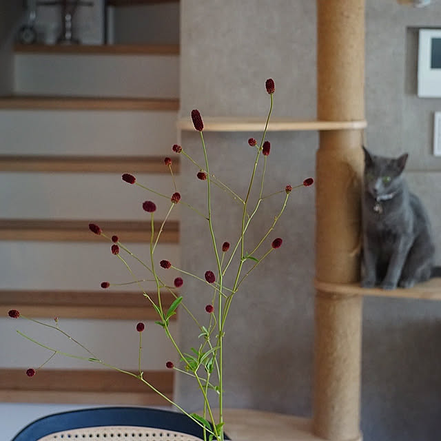 riri1989さんの実例写真