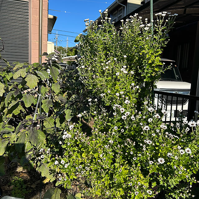 ritsukoさんの部屋