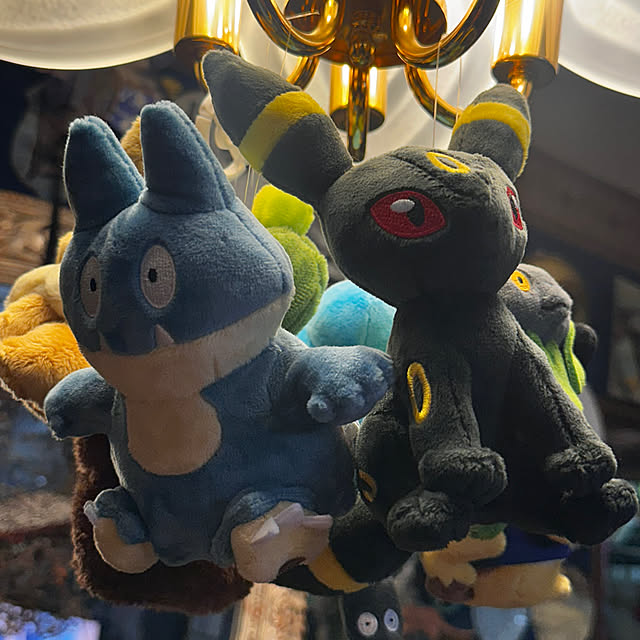 okyame-chanさんの部屋