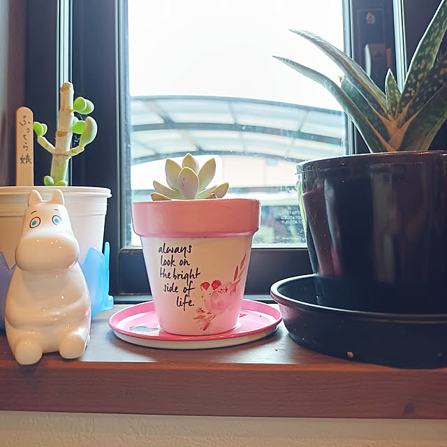 tomo5さんの実例写真