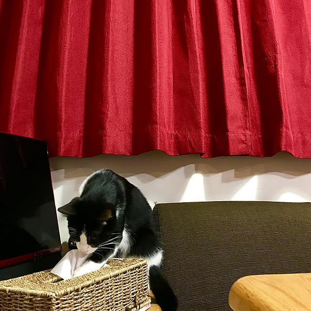 butachanさんの実例写真