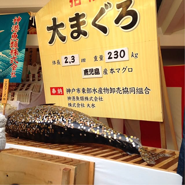 simple_blowbackさんの実例写真