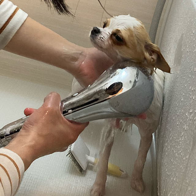 toratanさんの実例写真