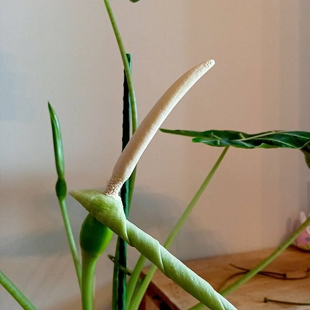 Rさんの部屋
