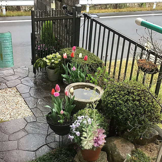 実例写真