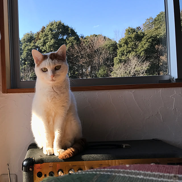 sakurasakuさんの実例写真