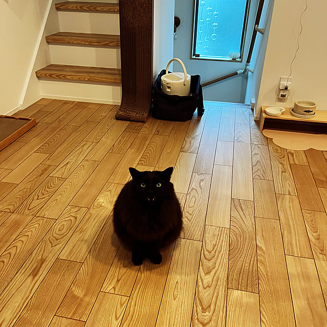 nuffyさんの部屋