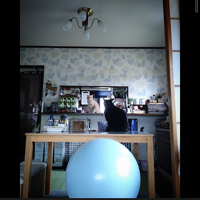 mntcさんの実例写真