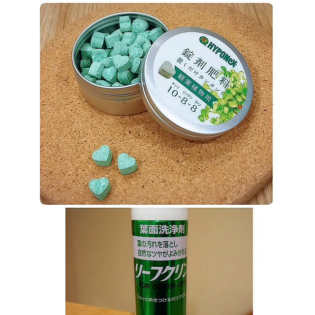 satoさんの実例写真