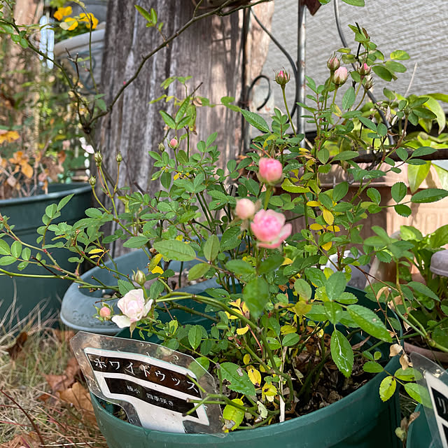 natsumiさんの部屋