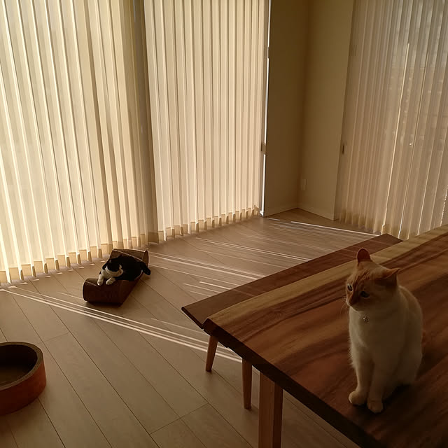 nikeyamaさんの実例写真