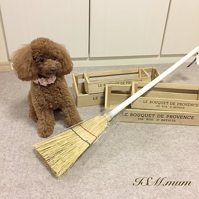 ISM.mumさんの実例写真