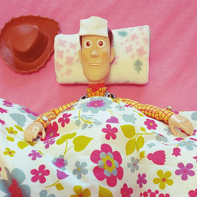 harumoeさんの実例写真
