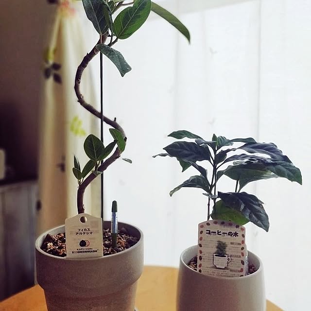 popotan.0319さんの実例写真