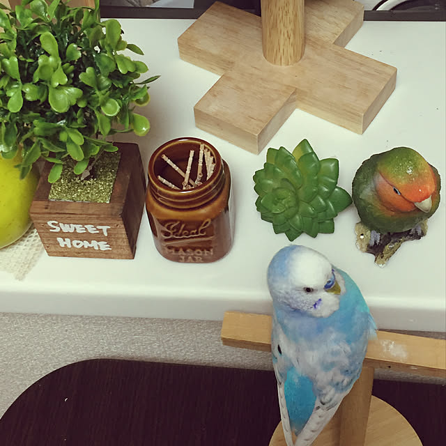 toratanさんの実例写真